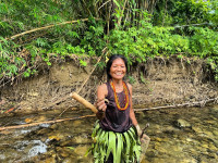 /album/fotogaleria-mentawai-ostrov-ludozrutov-zajazd-vy-a-my/mentaway-siberut-zajazd-jamajkanita-55-jpg/